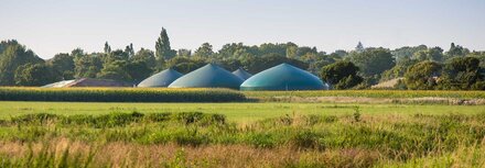 Eine Wiese, im Hintergrund Biogasanlagen