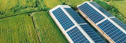 Sonne ernten Ein landwirtschaftliches Gebäude mit PV-Modulen aus der Luft