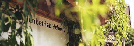 Der Betrieb von Hauke Helmers Der Betrieb von Hauke Helmers