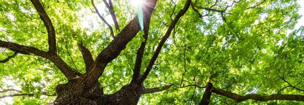 Deutschland plant die Klimaneutralität Deutschland plant die Klimaneutralität