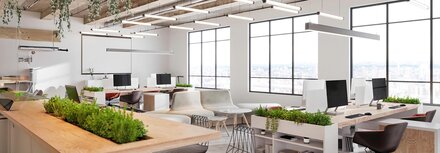 Biophilic Design und HCL Ein gut ausgeleuchtetes Büro mit Pflanzen