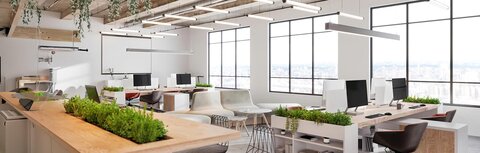 Biophilic Design und HCL Ein gut ausgeleuchtetes Büro mit Pflanzen