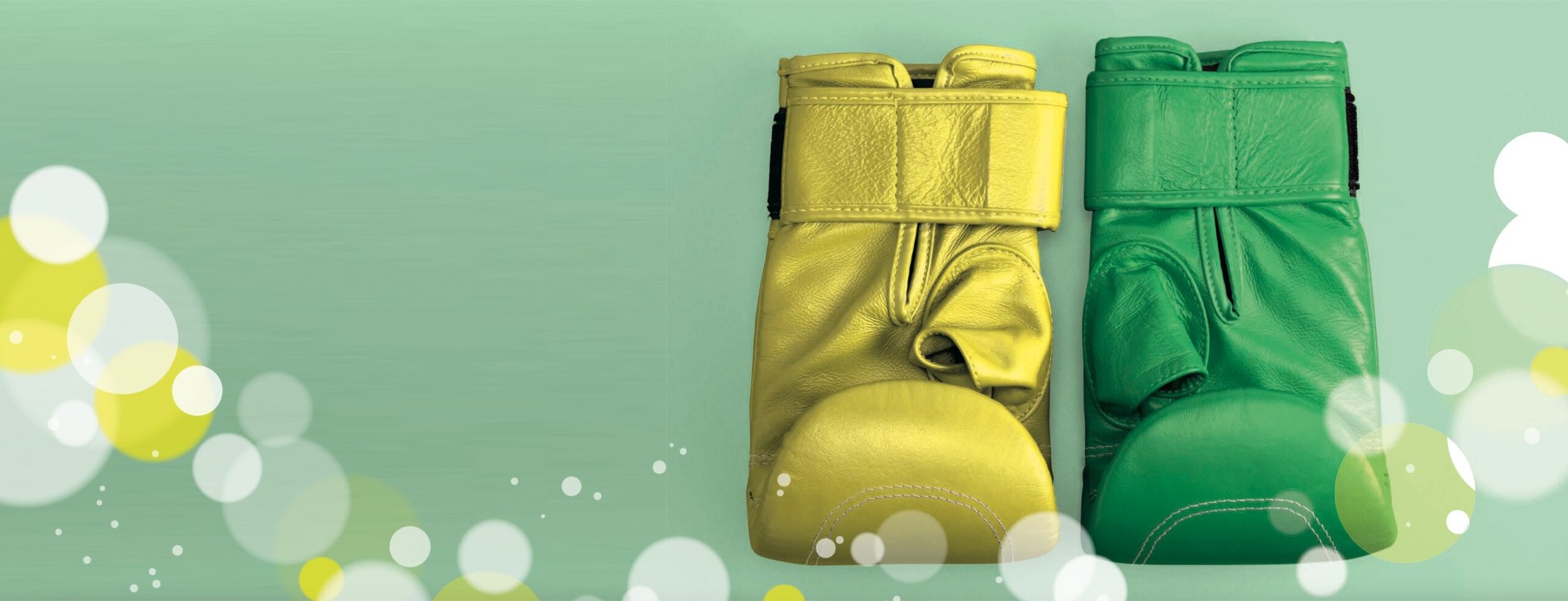 Ein grüner und ein gelber Boxhandschuh, die symbolisieren, dass Digitalisierung & Klimaneutralität Unternehmen stark machen