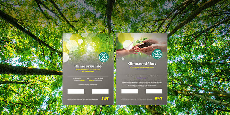 Zwei Zertifikatbeispiele, im Hintergrund grüner Wald