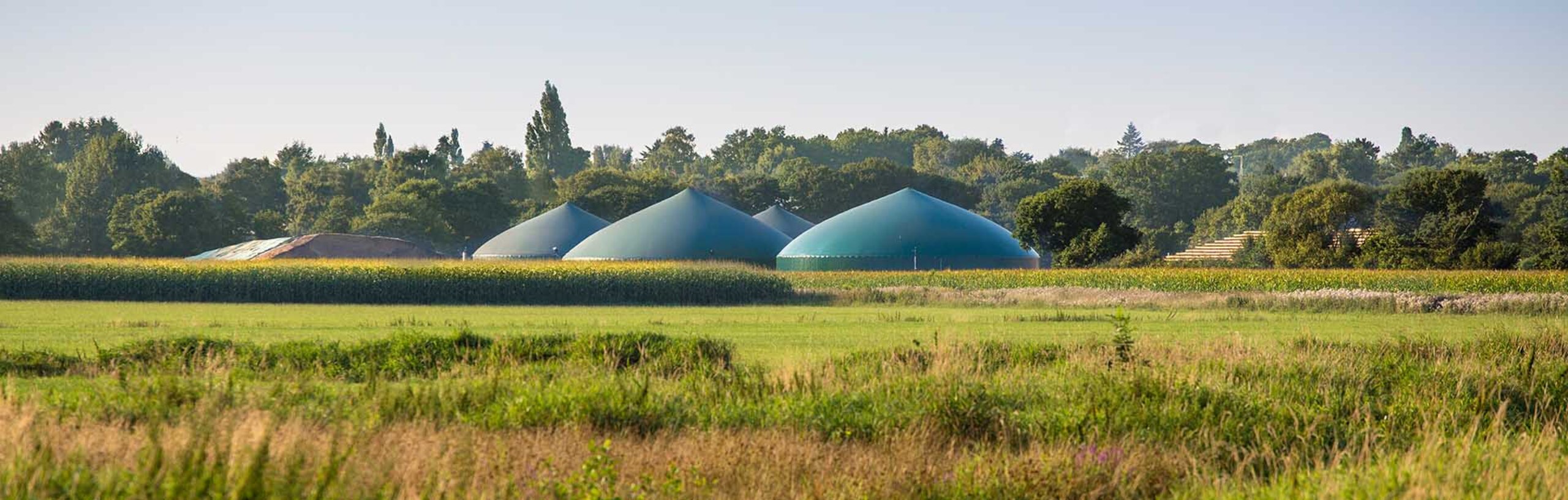 Eine Wiese, im Hintergrund Biogasanlagen