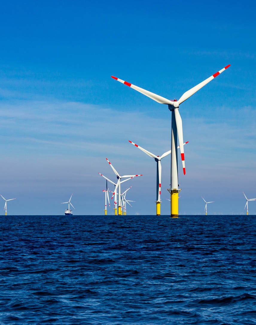 Ein Windpark auf hoher See