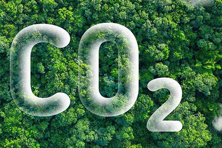 Das als weiße Wolken über einem Wald stilisiertes Formelkürzel CO2