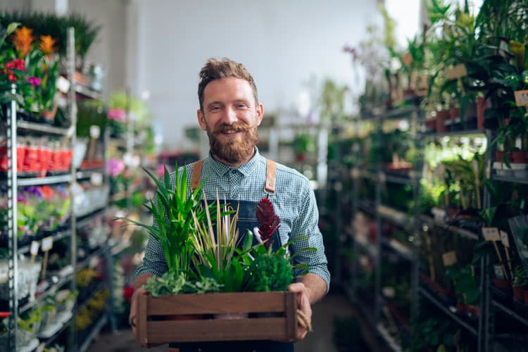 Ein Mann mit Schürze steht in einem Blumen- und Pflanzengeschäft und trägt eine Kiste mit Pflanzen in beiden Händen.