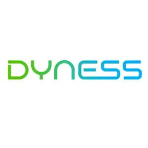 DYNESS