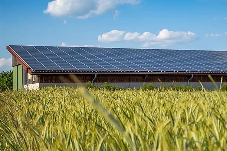 Ein Gebäude mit PV-Modulen, davor ein Getreidefeld