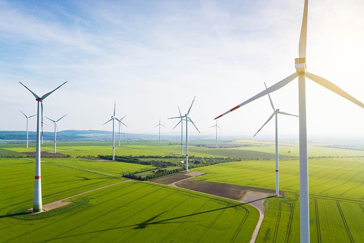 Windräder bei blauem Himmel und Sonnenschein auf grünen Wiesen