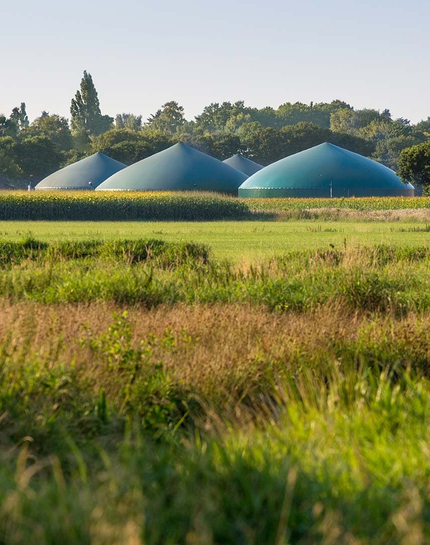Eine Wiese, im Hintergrund Biogasanlagen