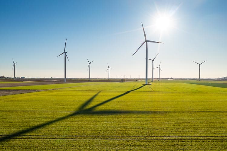 Windkrafträder auf einer Freifläche bei Sonnenschein