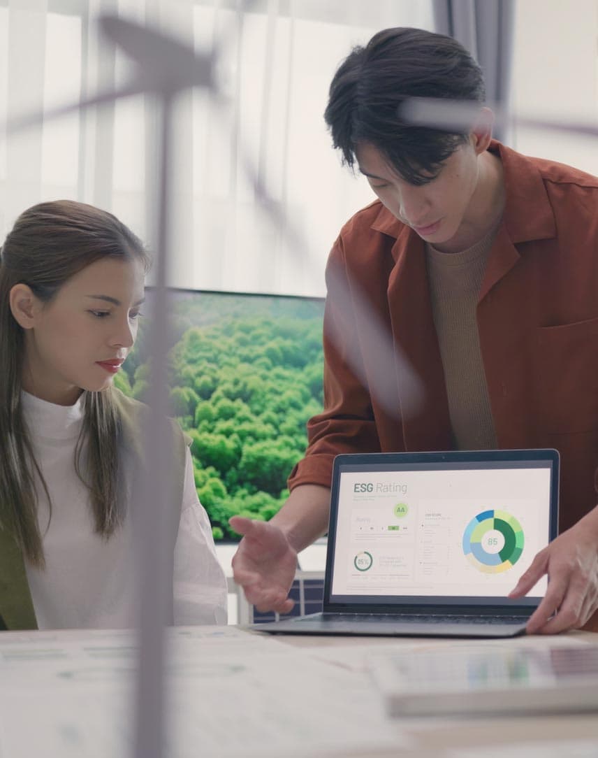 Drei KollegInnen gucken auf ein Diagramm auf einem Notebook, davor Pflanzen und ein Modell-Windrad