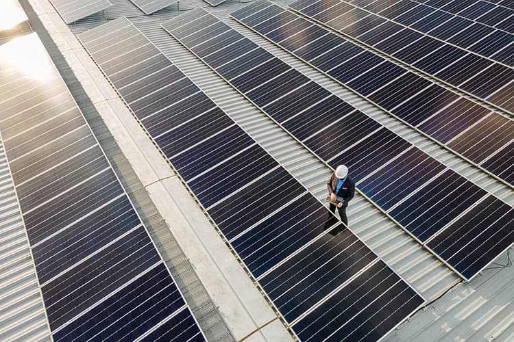 Dach mit mehreren Solarmodulreihen und Person mit Helm und Tablet auf einem Steg dazwischen