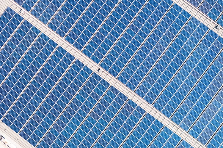 Nahaufnahme von mehreren nebeneinander angeordneten Solarmodulen