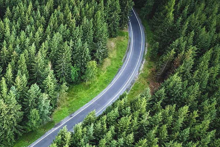 Luftaufnahme einer kurvigen Straße, die durch einen dichten Nadelwald führt