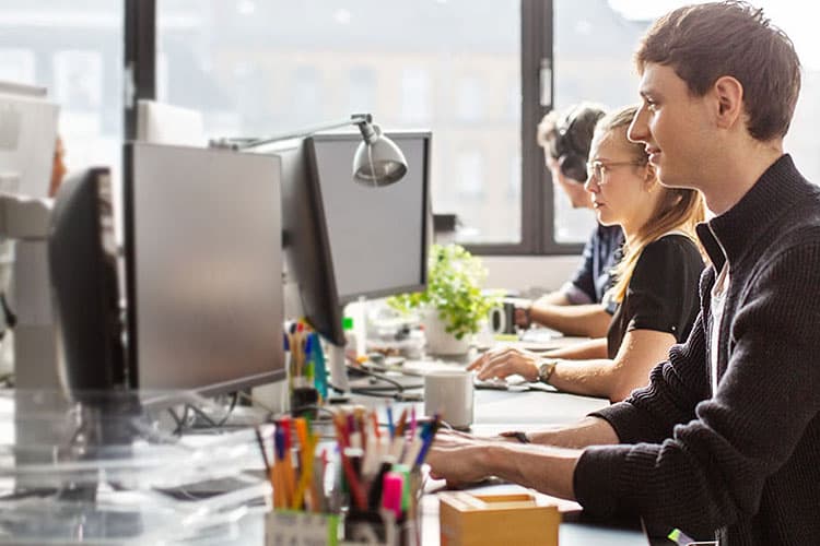 Drei Personen sitzen nebeneinander an Schreibtischen und schauen auf ihre Bildschirme.