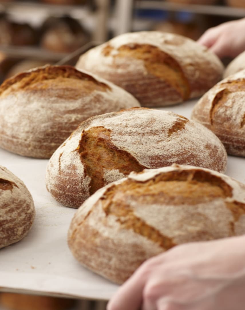 Baeckerei Heins- frische Brote auf einem Blech