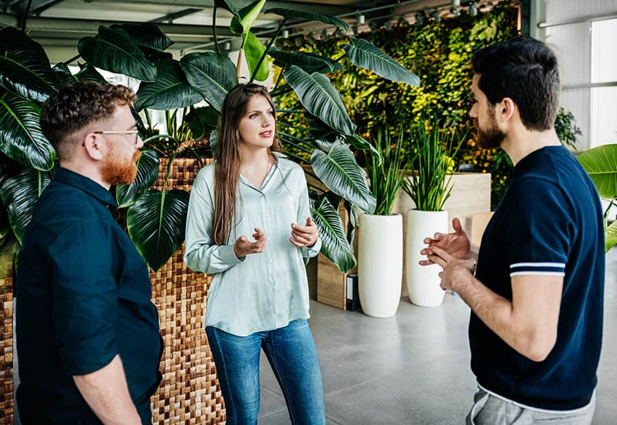 Eine Frau erklärt zwei Männern etwas, im Hintergrund Pflanzen