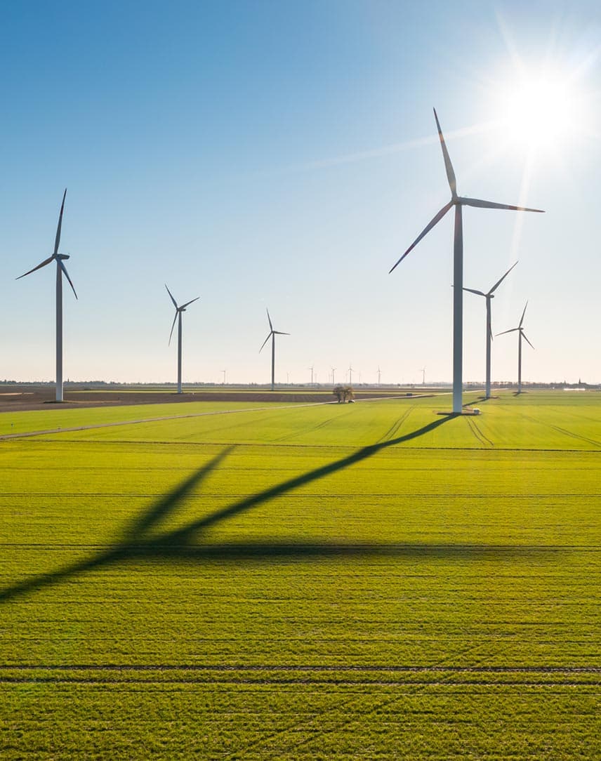 Windkrafträder auf einer Freifläche bei Sonnenschein