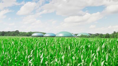 Biogasanlagen hinter einem Maisfeld