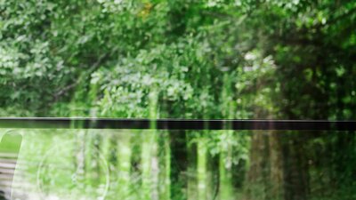 Webinar: Korridorphase CO2-Preis Ein grüner Garten durch eine Scheibe gesehen