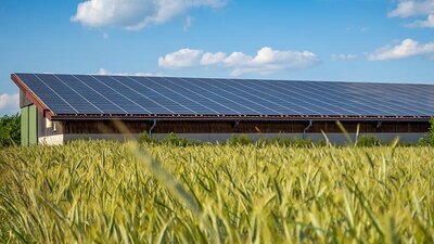 Ein Gebäude mit PV-Modulen, davor ein Getreidefeld