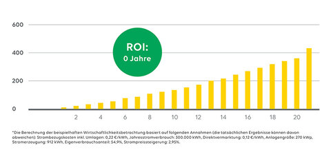 Eine Grafik zum ROI mit Werklieferungsvertrag