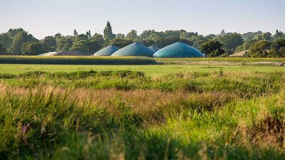 Eine Wiese, im Hintergrund Biogasanlagen