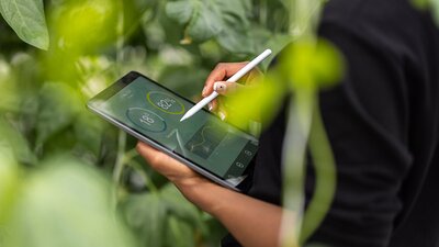 Tablet auf dem gerade geschrieben wird