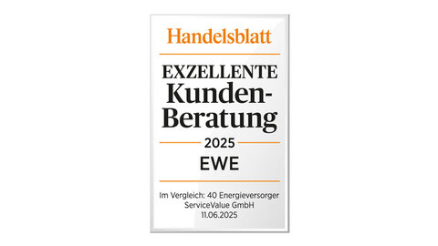 Handelsblatt-Siegel Beste Dienstleister