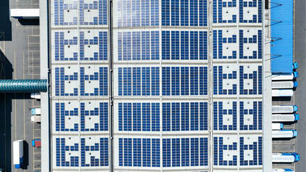 Luftaufnahme von Solarpaneelen neben einem Strommast auf saftig grünen Feldern