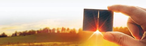 Direktvermarktung für Photovoltaik Ein Hand mit PV-Modul vor dem Sonnenuntergang, im Hintergrund eine Wiese