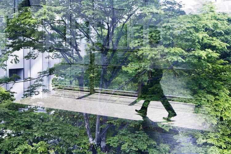 Eine Person läuft durch ein verglastes Gebäude, außerhalb dessen Bäume und andere Pflanzen zu sehen sind.