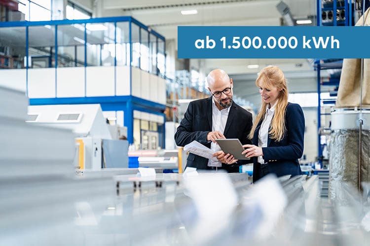 Ein Mann und eine Frau besprechen etwas an einem Tablet in einer Produktionshalle, darüber ein Hinweis: ab 1.500.000 kWh