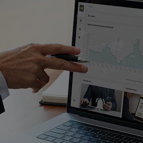 EWE Business Portal Eine Person erklärt Diagramme auf einem Laptop