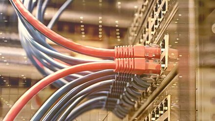 Digitale Infrastruktur Rote und blaue Kabel an einem Switch